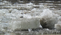 Red River ice-melt, April, 2008, photo by Brenda Brown